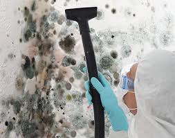 Best Mold Removal for HVAC Installations  in Iowa Colony, TX